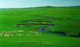 大草原在线观看